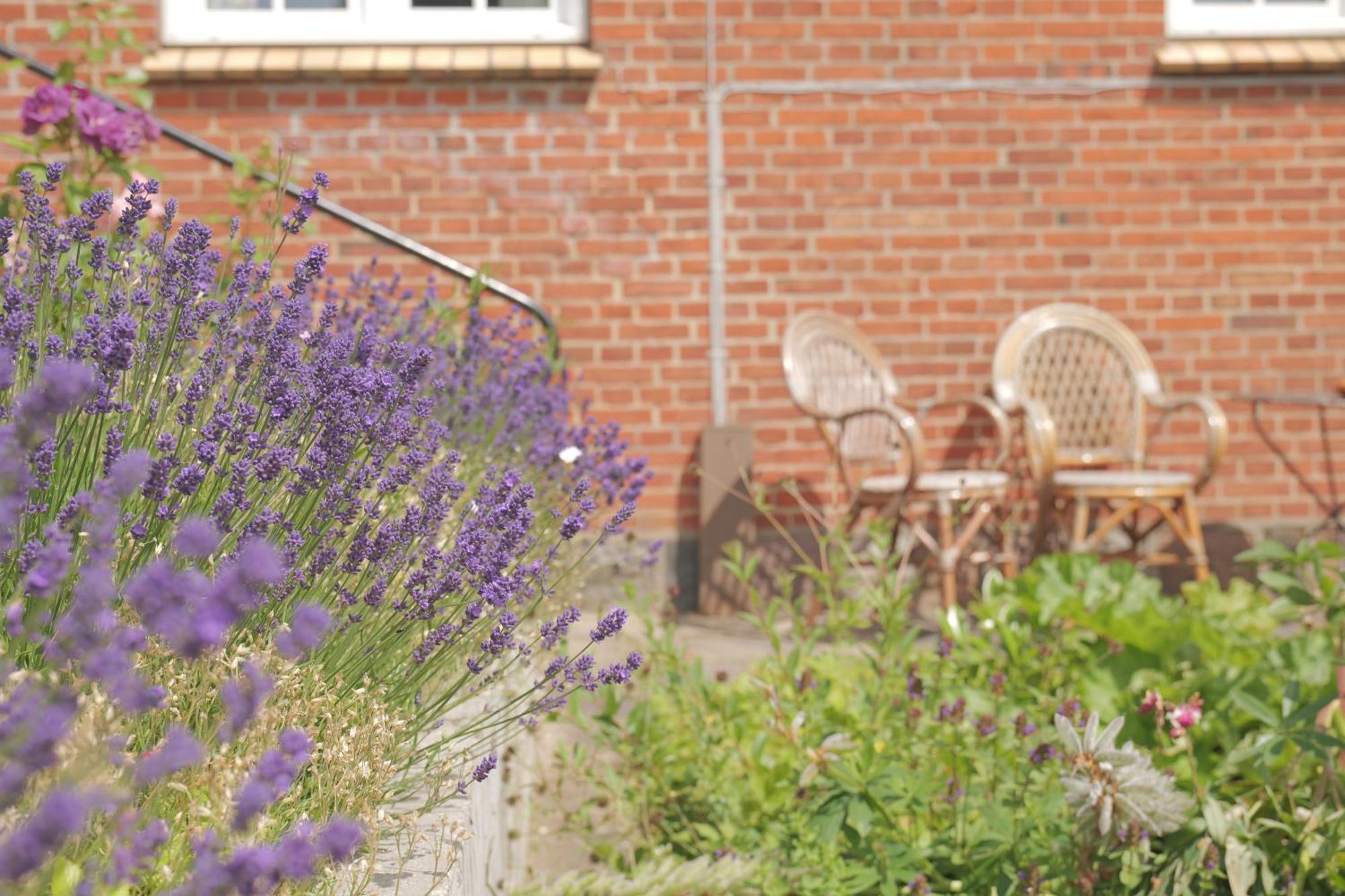Bed and Breakfast Huset I Hejls Exterior foto